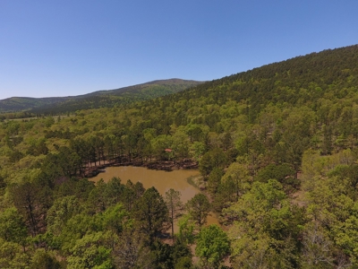 Poteau Mountain Recreational Property - National Forest - image 1