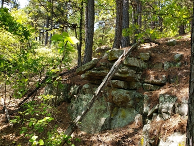 Poteau Mountain Recreational Property - National Forest - image 15