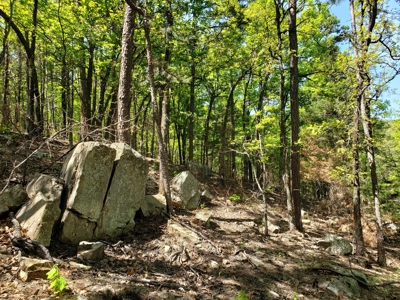 Poteau Mountain Recreational Property - National Forest - image 18