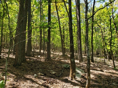 Poteau Mountain Recreational Property - National Forest - image 20