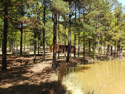 Poteau Mountain Recreational Property - National Forest - image 2