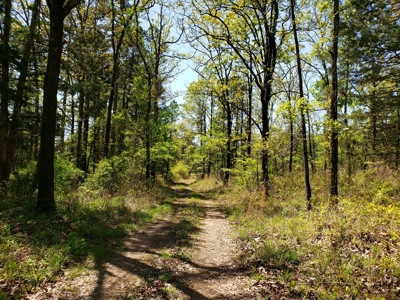 Poteau Mountain Recreational Property - National Forest - image 23
