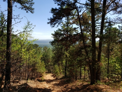Poteau Mountain Recreational Property - National Forest - image 17