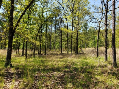 Poteau Mountain Recreational Property - National Forest - image 25