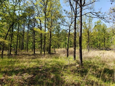 Poteau Mountain Recreational Property - National Forest - image 26