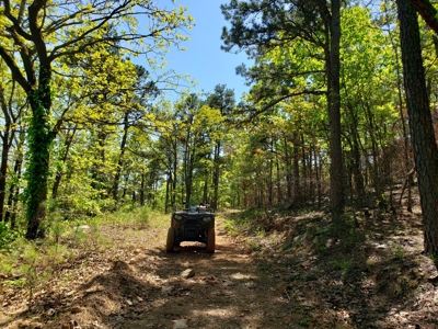 Poteau Mountain Recreational Property - National Forest - image 21
