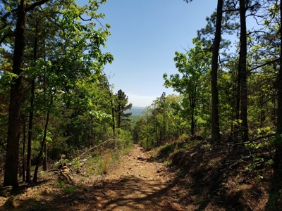 Poteau Mountain Recreational Property - National Forest - image 22