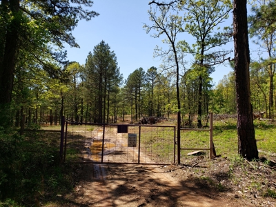Poteau Mountain Recreational Property - National Forest - image 27