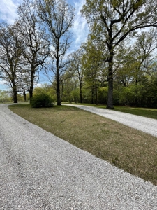 Country Home in Violet Hill, AR - image 6