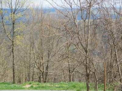 WV Mountain Top Building Site - image 4