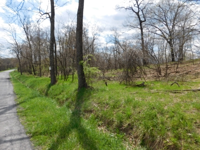 WV Mountain Top Building Site - image 1