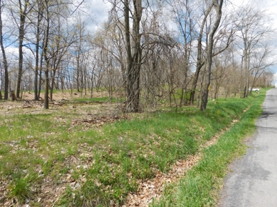 WV Mountain Top Building Site - image 2