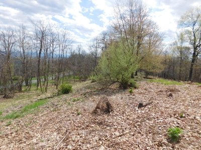 WV Mountain Top Building Site - image 5