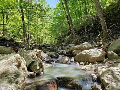 280 Acre Sugar Loaf Mountain Recreational Property - image 16