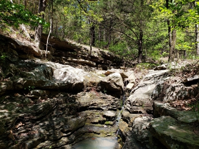 280 Acre Sugar Loaf Mountain Recreational Property - image 5