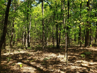 280 Acre Sugar Loaf Mountain Recreational Property - image 26
