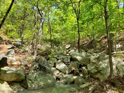 280 Acre Sugar Loaf Mountain Recreational Property - image 24