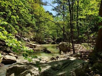 280 Acre Sugar Loaf Mountain Recreational Property - image 20