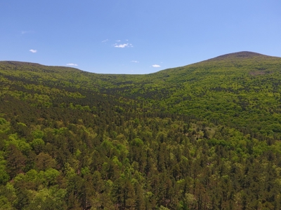 280 Acre Sugar Loaf Mountain Recreational Property - image 1