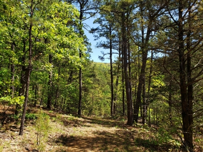 280 Acre Sugar Loaf Mountain Recreational Property - image 3