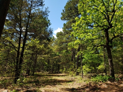 280 Acre Sugar Loaf Mountain Recreational Property - image 2