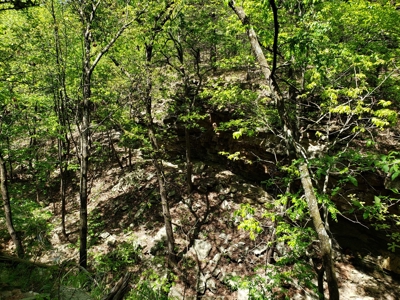 280 Acre Sugar Loaf Mountain Recreational Property - image 6