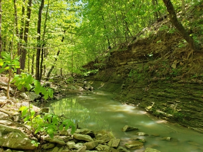 280 Acre Sugar Loaf Mountain Recreational Property - image 17