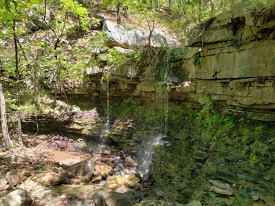 280 Acre Sugar Loaf Mountain Recreational Property - image 9