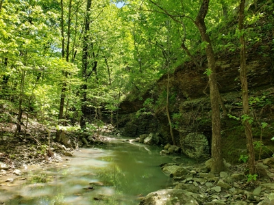 280 Acre Sugar Loaf Mountain Recreational Property - image 13