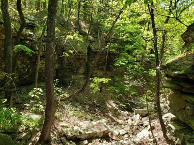 280 Acre Sugar Loaf Mountain Recreational Property - image 4