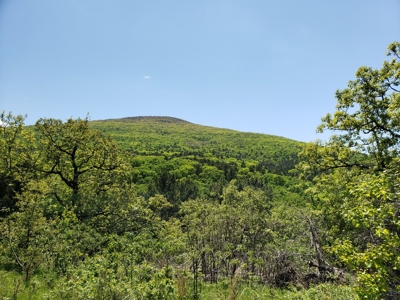 280 Acre Sugar Loaf Mountain Recreational Property - image 27