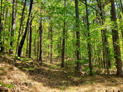 280 Acre Sugar Loaf Mountain Recreational Property - image 23
