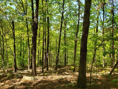 280 Acre Sugar Loaf Mountain Recreational Property - image 22