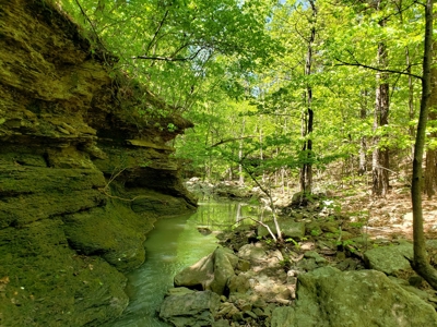 280 Acre Sugar Loaf Mountain Recreational Property - image 19