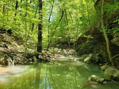 280 Acre Sugar Loaf Mountain Recreational Property - image 14