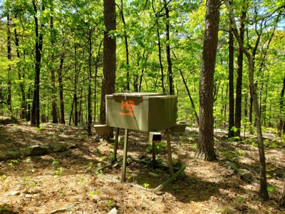 280 Acre Sugar Loaf Mountain Recreational Property - image 8