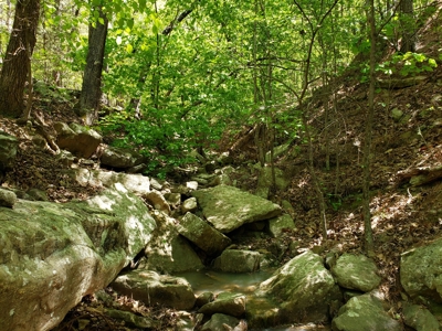 280 Acre Sugar Loaf Mountain Recreational Property - image 11