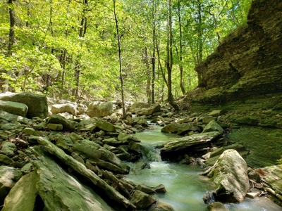 280 Acre Sugar Loaf Mountain Recreational Property - image 18