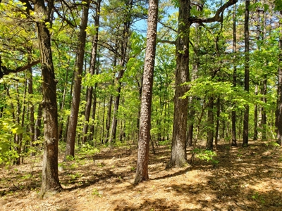 280 Acre Sugar Loaf Mountain Recreational Property - image 25
