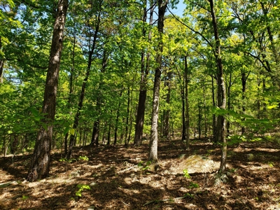 280 Acre Sugar Loaf Mountain Recreational Property - image 21