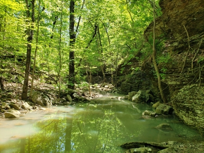 280 Acre Sugar Loaf Mountain Recreational Property - image 15