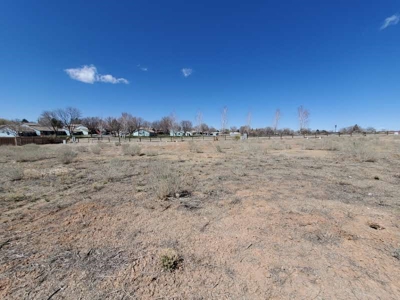 Land for Sale in Cortez - Build your Colorado dream house - image 8