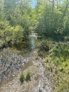 Development Land with Timber For Sale in Little Rock, AR - image 20