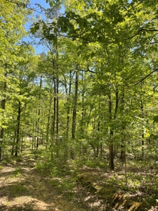 Development Land with Timber For Sale in Little Rock, AR - image 11