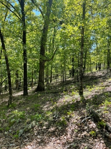Development Land with Timber For Sale in Little Rock, AR - image 8