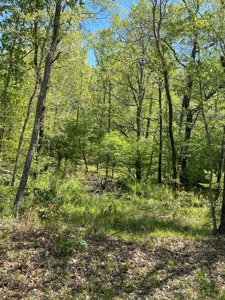 Development Land with Timber For Sale in Little Rock, AR - image 25