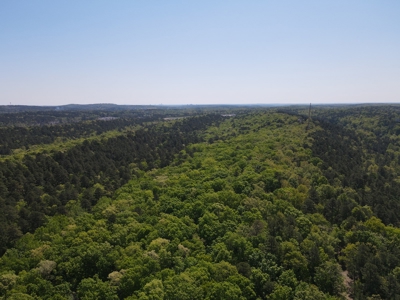 Development Land with Timber For Sale in Little Rock, AR - image 2
