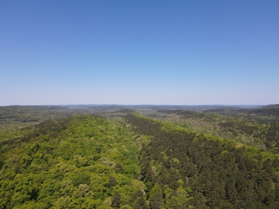 Development Land with Timber For Sale in Little Rock, AR - image 1