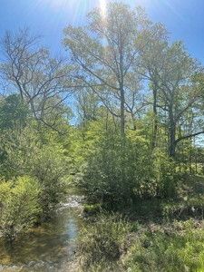 Development Land with Timber For Sale in Little Rock, AR - image 23