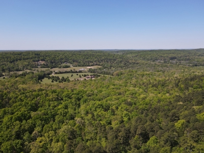 Development Land with Timber For Sale in Little Rock, AR - image 5
